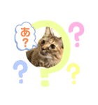 オラオラ系ネコ様（個別スタンプ：1）