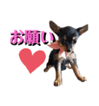 えりちゃんズ（個別スタンプ：1）
