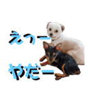 えりちゃんズ（個別スタンプ：3）