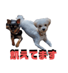 えりちゃんズ（個別スタンプ：4）