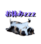 えりちゃんズ（個別スタンプ：5）