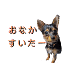 えりちゃんズ（個別スタンプ：6）
