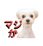 えりちゃんズ（個別スタンプ：7）