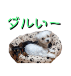 えりちゃんズ（個別スタンプ：8）