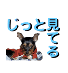 えりちゃんズ（個別スタンプ：11）