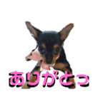 えりちゃんズ（個別スタンプ：13）