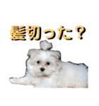 えりちゃんズ（個別スタンプ：15）