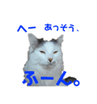 もふ次郎スタンプ2（個別スタンプ：11）