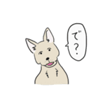 すごい！使えるスタンプ（個別スタンプ：15）