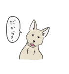 すごい！使えるスタンプ（個別スタンプ：28）