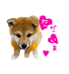 mimi♡♡♡mimi（個別スタンプ：9）