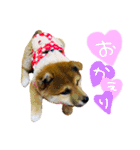 mimi♡♡♡mimi（個別スタンプ：10）