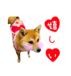 mimi♡♡♡mimi（個別スタンプ：19）