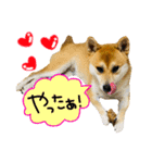 mimi♡♡♡mimi（個別スタンプ：20）