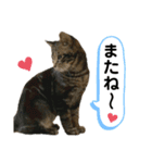 レオくん よく使う言葉（個別スタンプ：10）