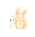 うさ、うさ、うさぎ？（個別スタンプ：7）