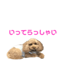 ヴィヴィアンとラ・メール②（個別スタンプ：5）