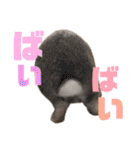 もふまるときどき仲間（個別スタンプ：9）