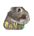 もふまるときどき仲間（個別スタンプ：18）