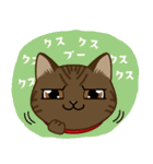 猫のショコラ 2（個別スタンプ：2）
