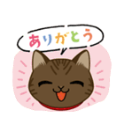 猫のショコラ 2（個別スタンプ：4）