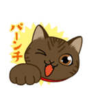 猫のショコラ 2（個別スタンプ：5）