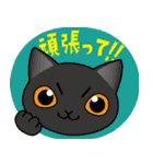 猫のショコラ 2（個別スタンプ：11）