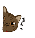 猫のショコラ 2（個別スタンプ：13）