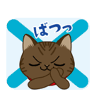 猫のショコラ 2（個別スタンプ：15）