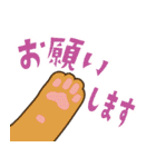 猫のショコラ 2（個別スタンプ：19）