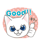 猫のショコラ 2（個別スタンプ：24）