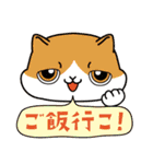 猫のショコラ 2（個別スタンプ：25）