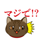 猫のショコラ 2（個別スタンプ：31）