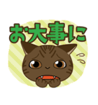 猫のショコラ 2（個別スタンプ：38）