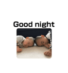 みくちゃん三兄弟の日常スタンプだよ（個別スタンプ：3）