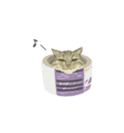 team猫2（個別スタンプ：2）