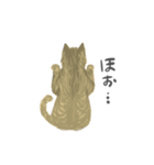 team猫2（個別スタンプ：5）