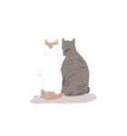 team猫2（個別スタンプ：6）