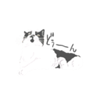 team猫2（個別スタンプ：7）