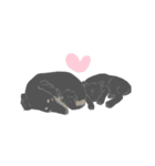 team猫2（個別スタンプ：8）
