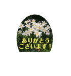 花いっぱい 日常ことば（個別スタンプ：1）