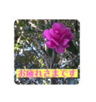 花いっぱい 日常ことば（個別スタンプ：4）
