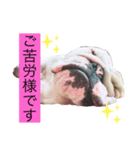 キキの暮らし（個別スタンプ：2）