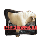 キキの暮らし（個別スタンプ：5）