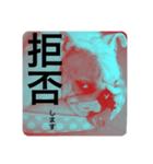 キキの暮らし（個別スタンプ：7）
