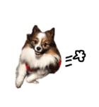 愛犬エルの日常（個別スタンプ：7）