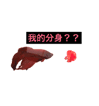 魚の独り言（個別スタンプ：8）