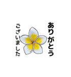 ❤️動く南国ハワイのお花ブーケ❤️日常版（個別スタンプ：10）
