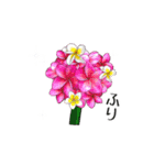 ❤️動く南国ハワイのお花ブーケ❤️日常版（個別スタンプ：13）