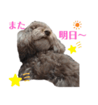 ライアン王国だ〜No1（個別スタンプ：8）